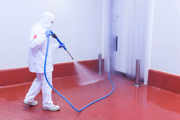 Best Paint Preparation  in Safford, AZ